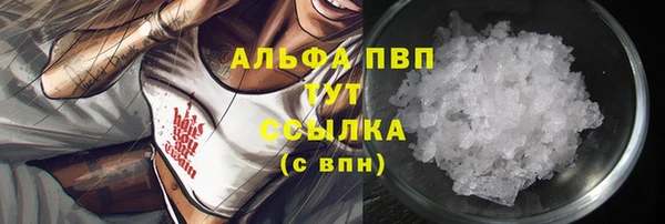дмт Каменка