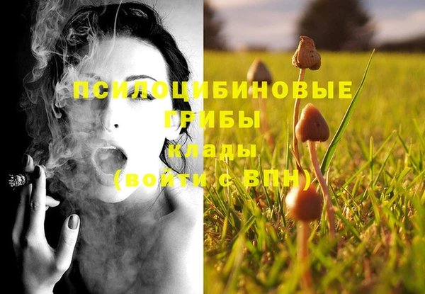 дмт Каменка