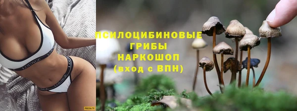дмт Каменка
