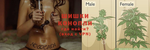 дмт Каменка