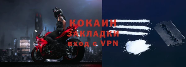 дмт Каменка