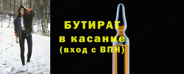 дмт Каменка