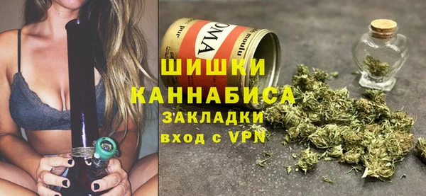 дмт Каменка
