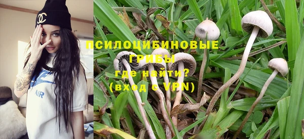 дмт Каменка