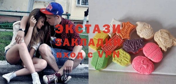 дмт Каменка