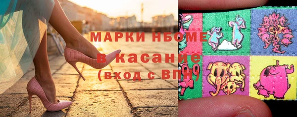 дмт Каменка