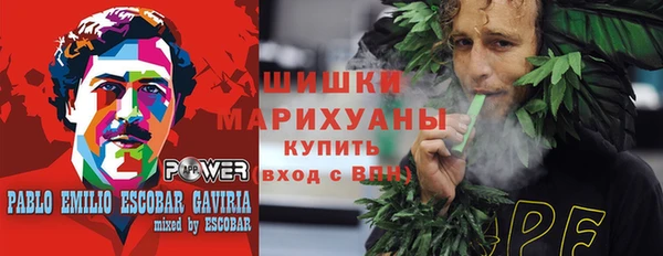 дмт Каменка